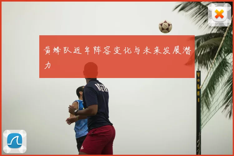 黄蜂队近年阵容变化与未来发展潜力