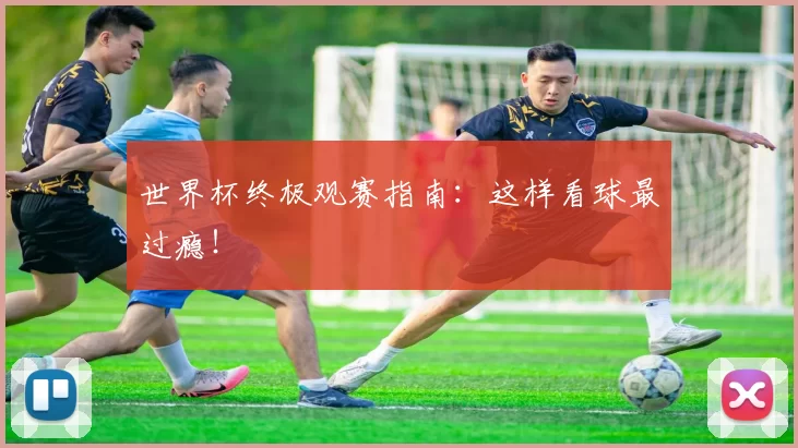 世界杯终极观赛指南:这样看球最过瘾!