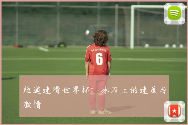 短道速滑世界杯:冰刀上的速度与激情
