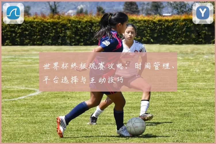 世界杯终极观赛攻略:时间管理、平台选择与互动技巧