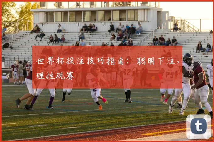 世界杯投注技巧指南：聪明下注，理性观赛
