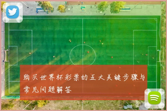 购买世界杯彩票的五大关键步骤与常见问题解答