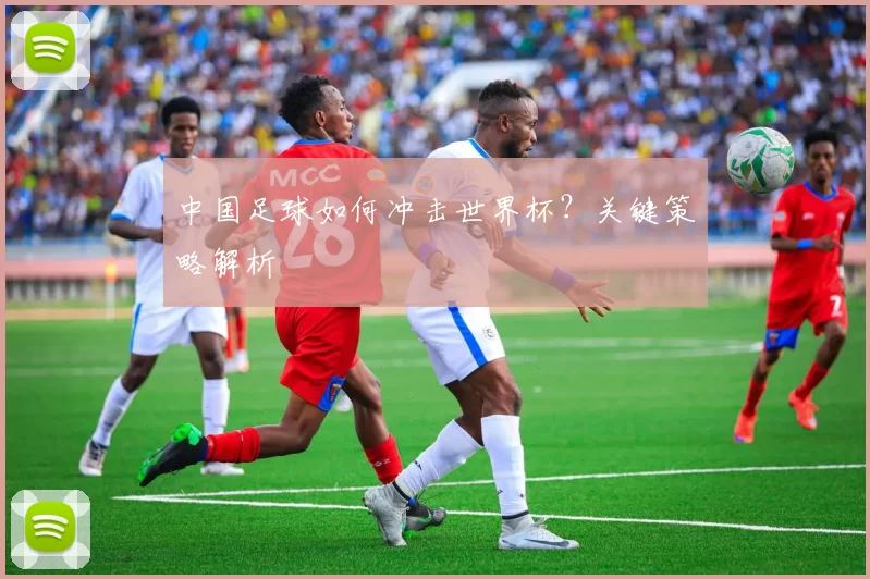 中国足球如何冲击世界杯?关键策略解析