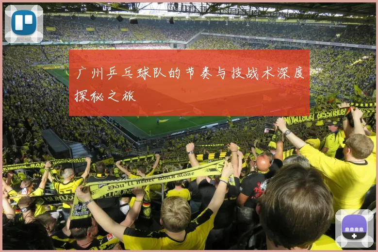 广州乒乓球队的节奏与技战术深度探秘之旅