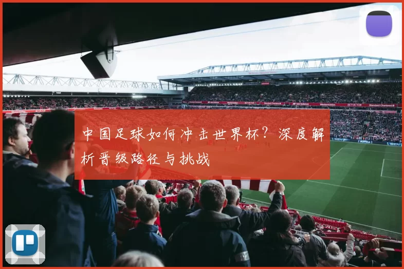 中国足球如何冲击世界杯?深度解析晋级路径与挑战