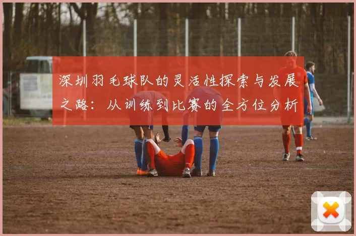 深圳羽毛球队的灵活性探索与发展之路：从训练到比赛的全方位分析