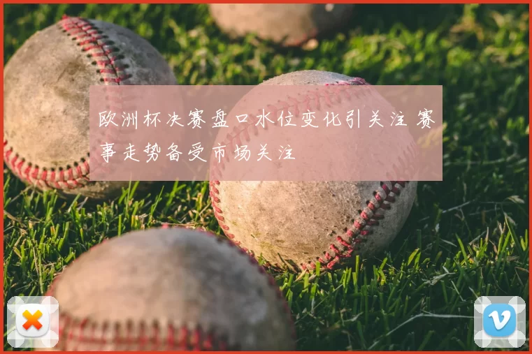 欧洲杯决赛盘口水位变化引关注 赛事走势备受市场关注