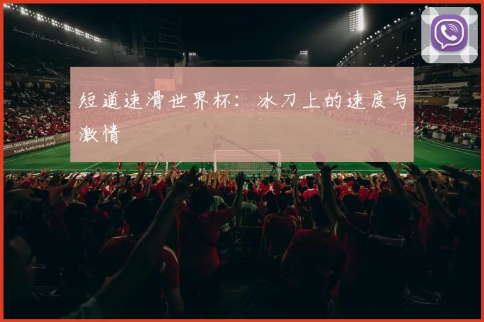 短道速滑世界杯:冰刀上的速度与激情